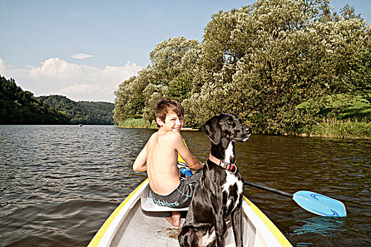 男孩,划船,独木舟,猎捕,狗,杂种狗