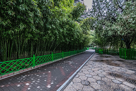 河南省郑州市人民公园竹园生态环境