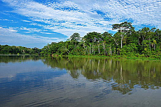 河,玛努国家公园,秘鲁,南美