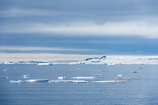 北冰洋,冰,靠近,海岸线,斯瓦尔巴特群岛,挪威