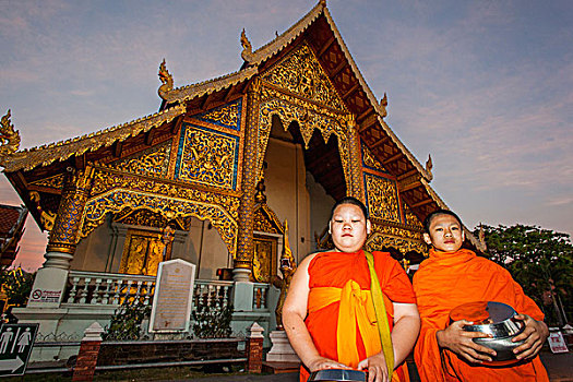 泰国,清迈,寺院,唱,僧侣
