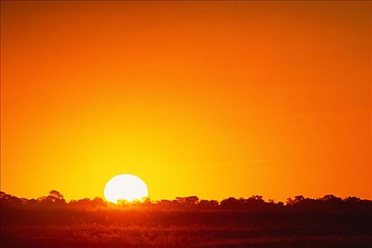 日落,乔贝国家公园,博茨瓦纳