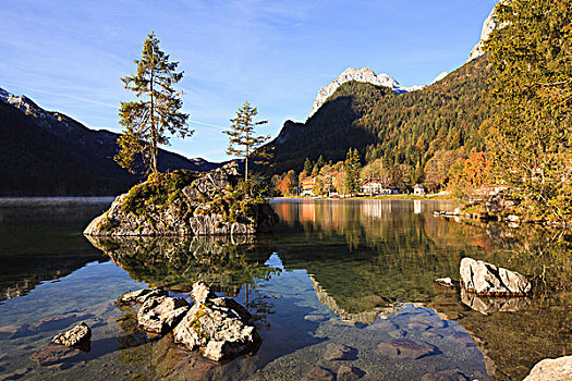 树,石头,湖,巴伐利亚,德国