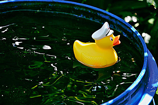 橡皮鸭,游泳,雨,桶