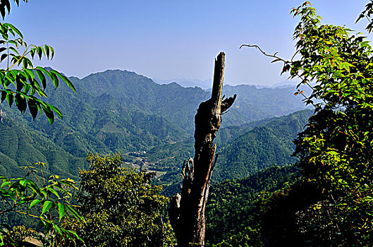 莲花山