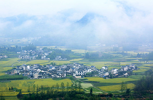 雾气,晨雾,朦胧,田园,春色,油菜花,漫山遍野,俯瞰,大地,锦绣