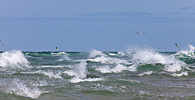 波浪,海洋