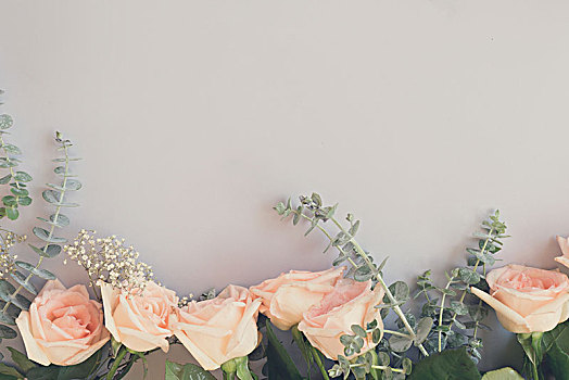 玫瑰,花,排,蓝色背景,桌子,俯视,留白,复古,清新