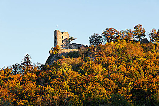 城堡,遗址,弗兰哥尼阶,瑞士,上弗兰科尼亚,弗兰克尼亚,巴伐利亚,德国,欧洲
