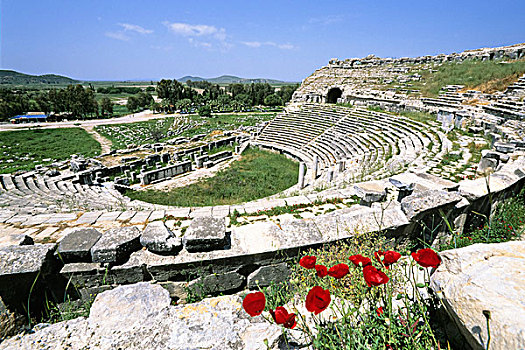罗马剧场,古城,土耳其,小亚细亚