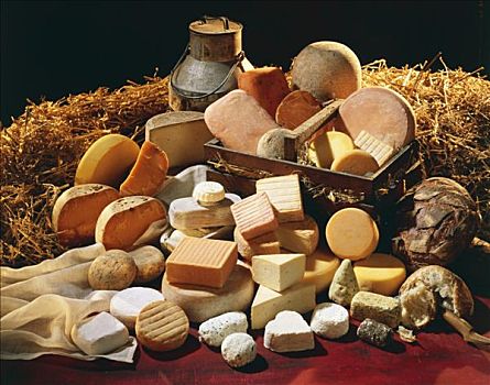 构图,不同,奶酪,北方,法国,干草,牛奶罐