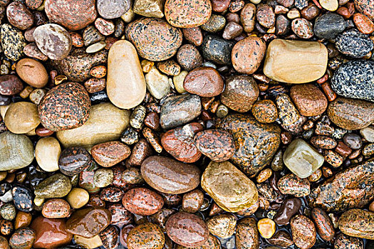 石头,海滩,波罗的海,丹麦,欧洲