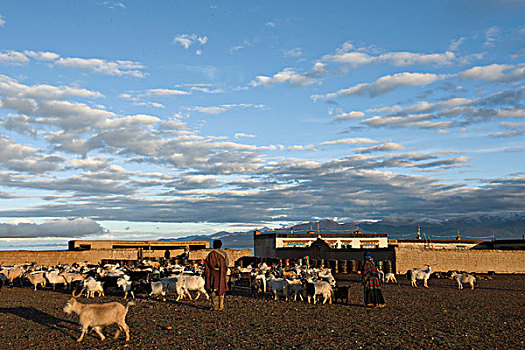 西藏那曲地区牧民家园
