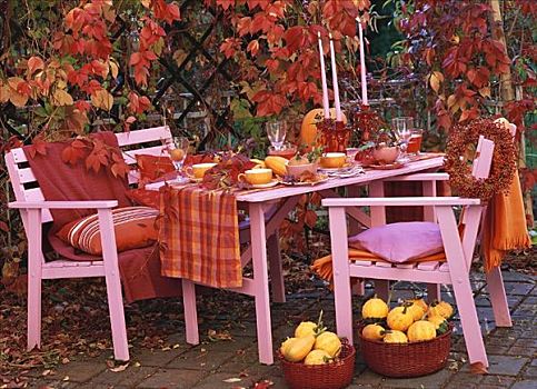 桌子,装饰,南瓜,野玫瑰果,秋天