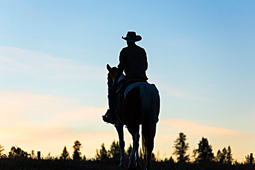 牛仔,骑,骑马,草原,风景,日落
