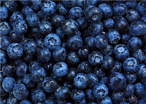 蓝莓,背景