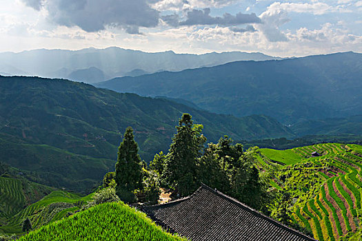 乡村,房子,稻米梯田,山,龙胜,广西,中国,大幅,尺寸