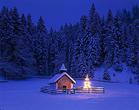 德国,上巴伐利亚,艾尔茂,小教堂,圣诞树,晚间,冬天