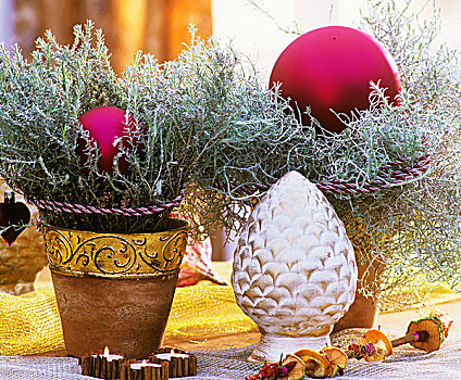 咖哩,植物,锅,圣诞装饰