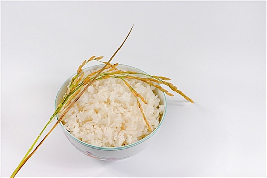 米饭,碗,白色背景
