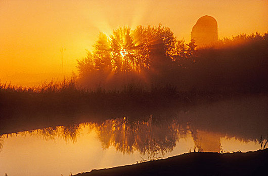 农场,日出,艾伯塔省,加拿大
