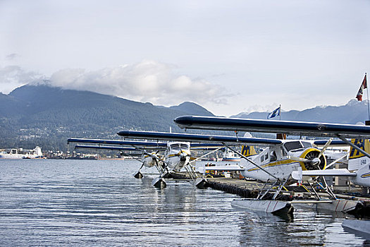 水上飞机,码头,煤,港口,温哥华,北温哥华,不列颠哥伦比亚省,加拿大