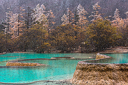 川西黄龙雪景