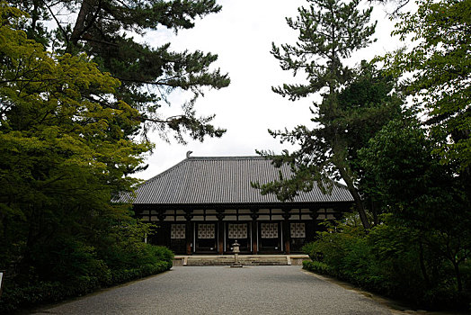 日本,奈良,唐招提寺