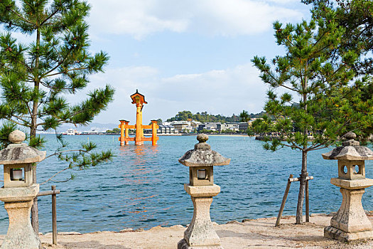 漂浮,鸟居,广岛,日本,严岛神社,光泽