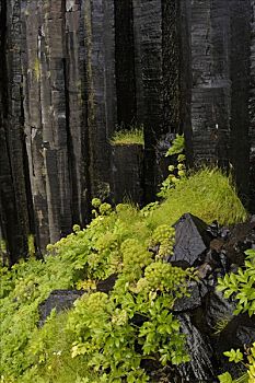 瀑布,史瓦提瀑布,柱子,玄武岩,斯卡夫塔菲尔国家公园,冰岛