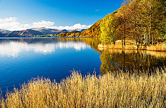 晴朗,秋天,白天,岸边,乌尔斯维特湖,湖区国家公园