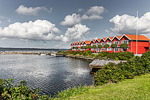 房子,游艇,港口,丹麦