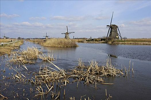 金德代克,靠近,鹿特丹,荷兰南部,南荷兰,荷兰,风车,圩田
