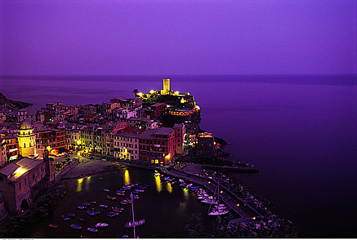 俯视,城市,港口,黄昏,维纳扎,五渔村,意大利