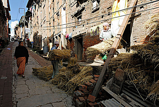 尼泊尔人,男人,堆积,捆,稻草,历史,街道,巴克塔普尔,加德满都山谷,尼泊尔,亚洲