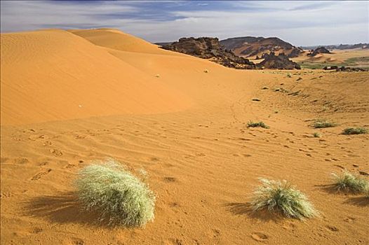 沙丘,阿卡库斯,利比亚