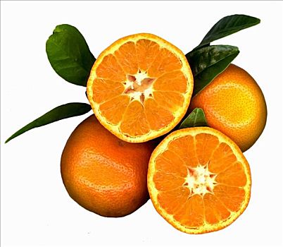 柑桔,橘子,平分,叶子