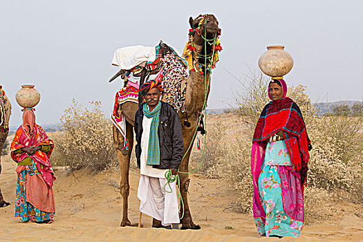 亚洲,印度,拉贾斯坦邦,曼瓦,沙漠,沙丘,多彩,衣服,乡村,女人,走,丈夫,骆驼,使用,只有
