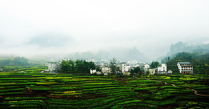 春雨到家乡