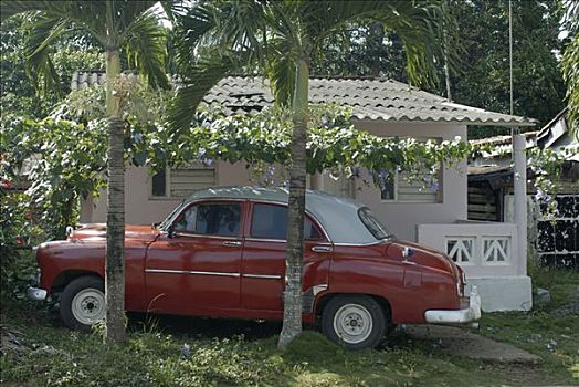 红色,老爷车,停放,花园,旁侧,房子,云尼斯,古巴,加勒比海