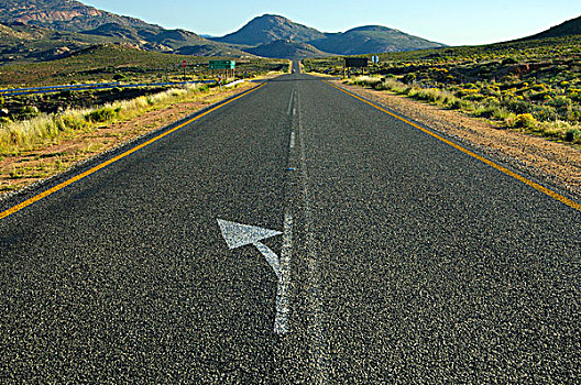 指示箭头,左边,笔直,细条,沥青,国家,道路,靠近,跳羚,途中,北方,边界,纳米比亚,南非,非洲