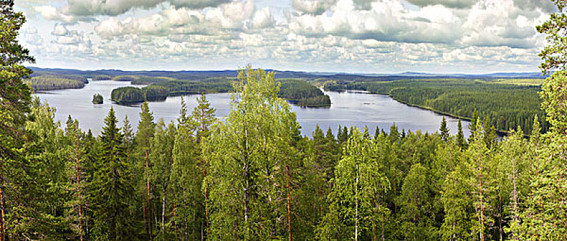 全景,湖,远足,区域,芬兰