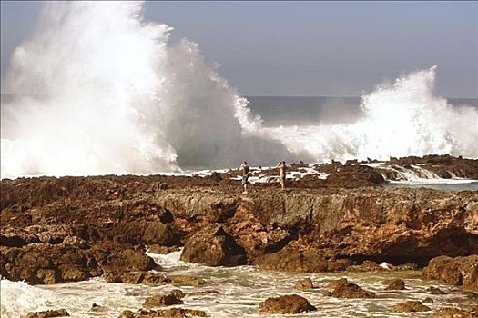 夏威夷,瓦胡岛,北岸,鲨鱼,小湾,两个男人,站立,岩石上,摄影,巨大,碰撞