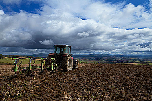 拖拉机,耕作,土地,靠近,景色,边缘,什罗普郡,英格兰
