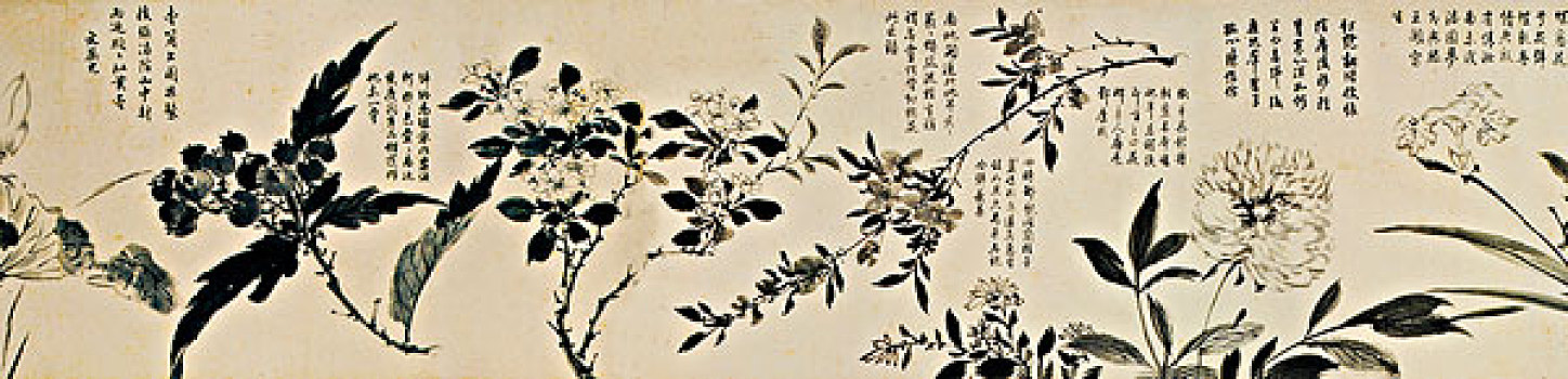 古画,百花图卷,周之冕,明朝