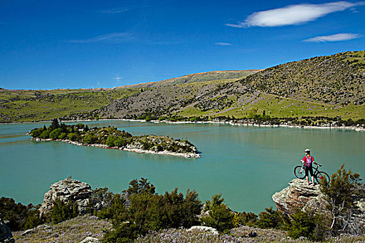 山地车手,高处,湖,峡谷,自行车,走,中心,奥塔哥,南岛,新西兰