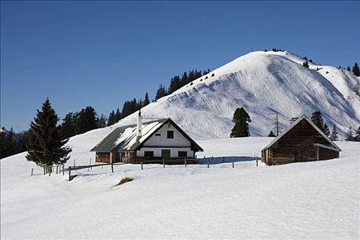小屋,山,冬天,巴伐利亚,德国