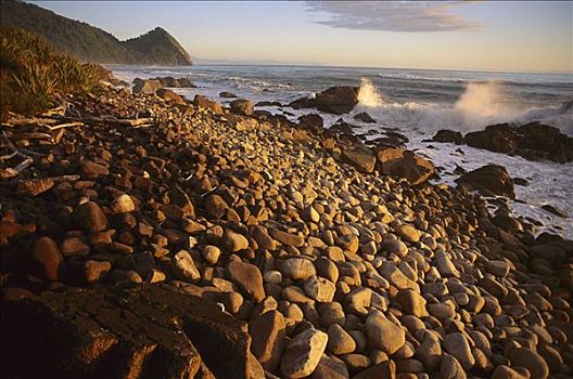 悬崖,漂石,海滩,北方,卡胡朗吉国家公园,新西兰