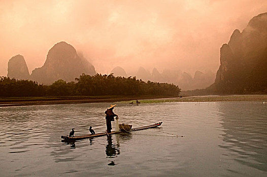 渔民,竹子,筏子,漓江,早晨,雾气,阳朔,广西,中国