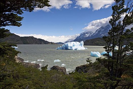 冰山,标识,灰色,托雷德裴恩国家公园,巴塔哥尼亚,智利,南美